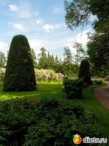 5 ����: �������������� ������. ������� ����.