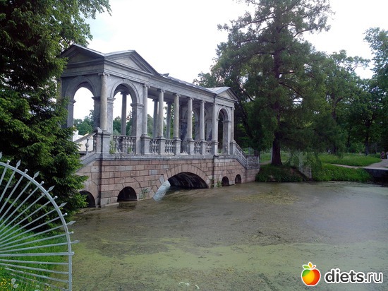 14 ����: �������������� ������. ������� ����.