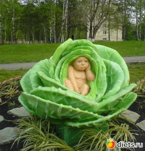 ��� ��� �� � �����