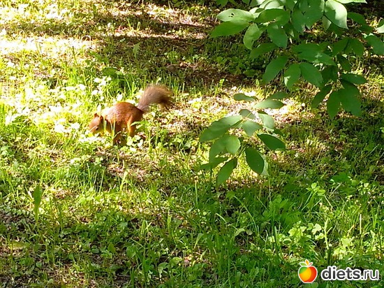 21 ����: �������������� ������. ������� ����.