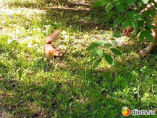 22 ����: �������������� ������. ������� ����.