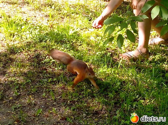 23 ����: �������������� ������. ������� ����.