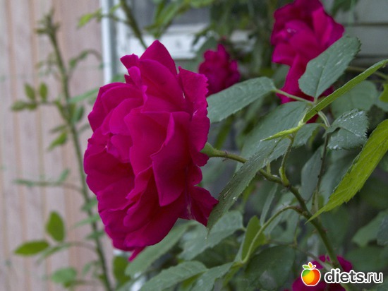 28 ����: �����-����-����� 2013 - 2015