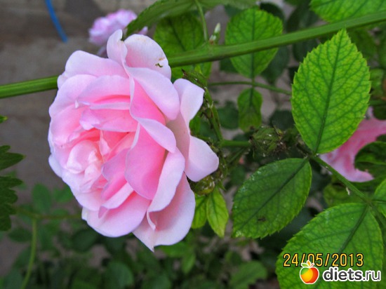 30 ����: �����-����-����� 2013 - 2015