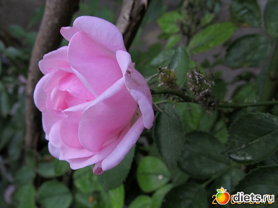 31 ����: �����-����-����� 2013 - 2015