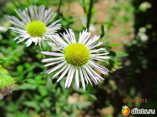 32 ����: �����-����-����� 2013 - 2015