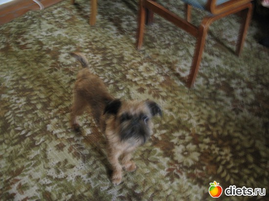 1 ����: ����