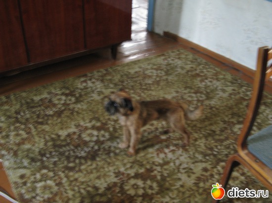 2 ����: ����