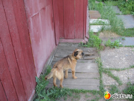 3 ����: ����