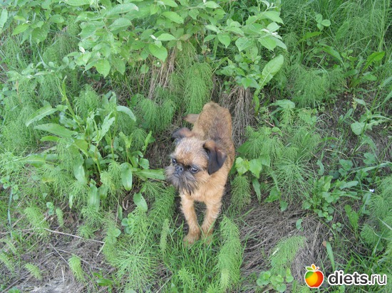 4 ����: ����