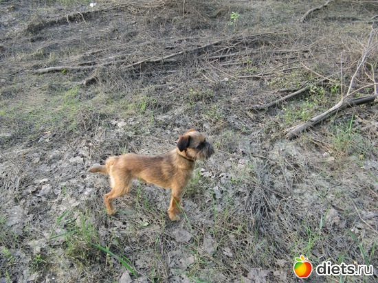 5 ����: ����