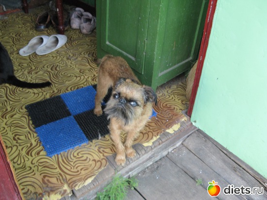 6 ����: ����