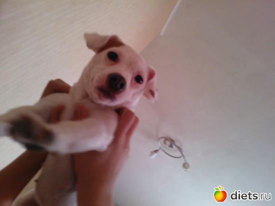 4 фото: Капочка