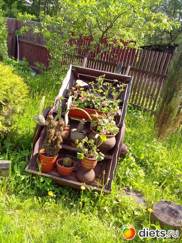 75 фото: Отдых!