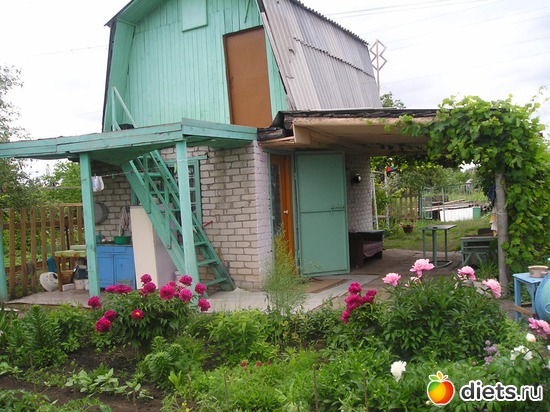 23 фото: Дачные радости