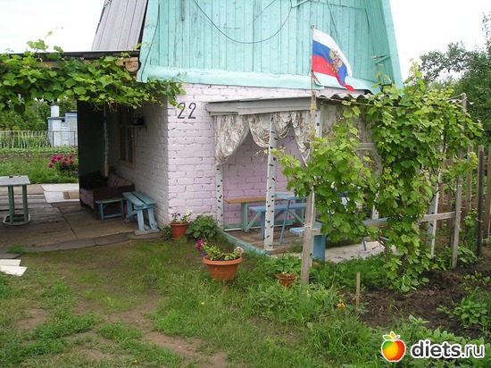 27 фото: Дачные радости
