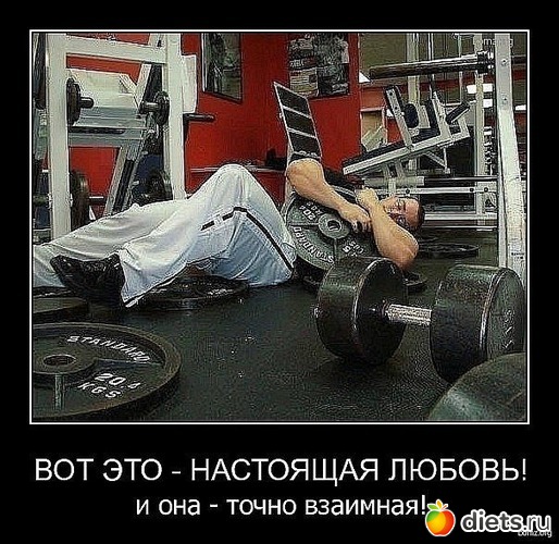 468 ����: ��� ������