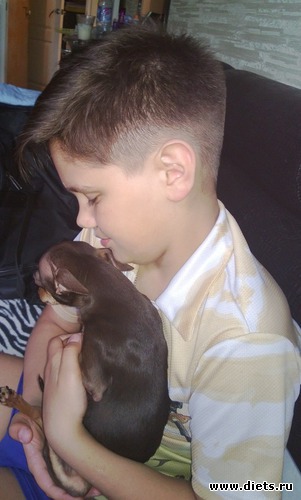 26 фото: Семейный