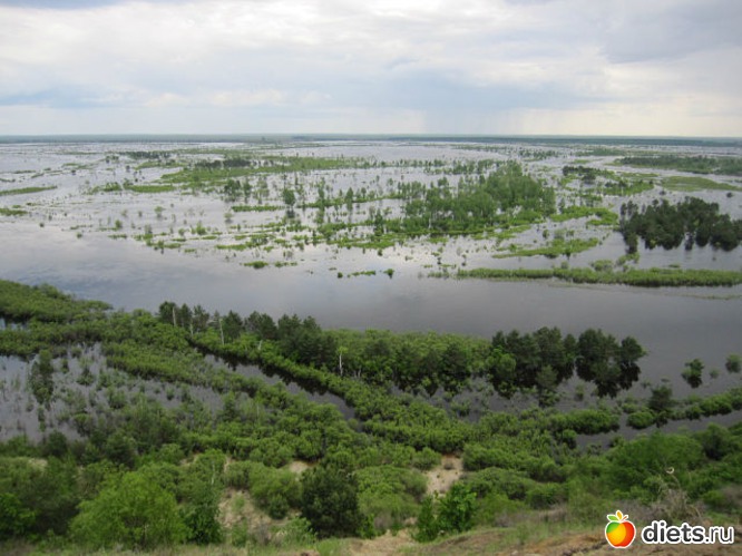 31 ����: ����