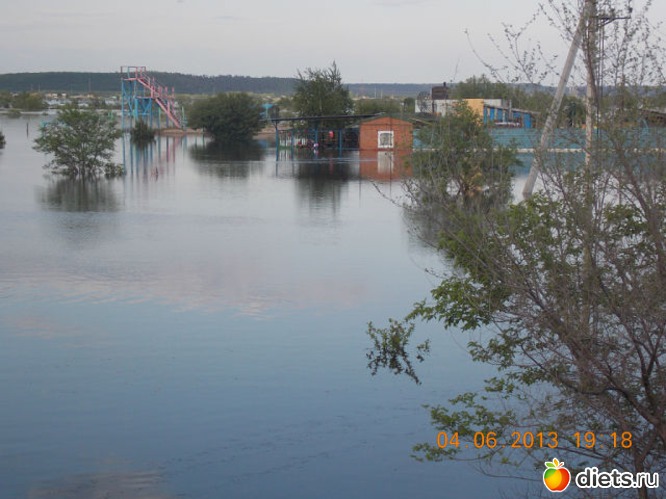 33 ����: ����