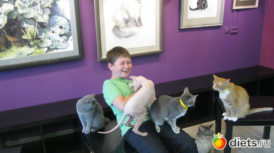 ����� �������!, ������: ������� �����!!!