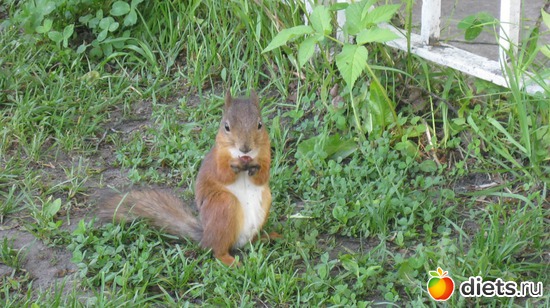 5 ����: ������� �����!!!