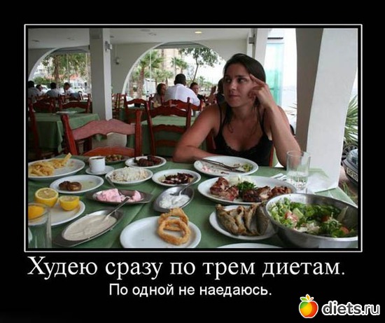 14 ����: ���������