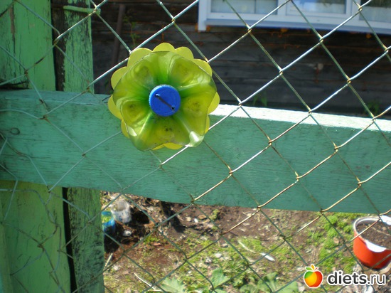 5 ����: �����