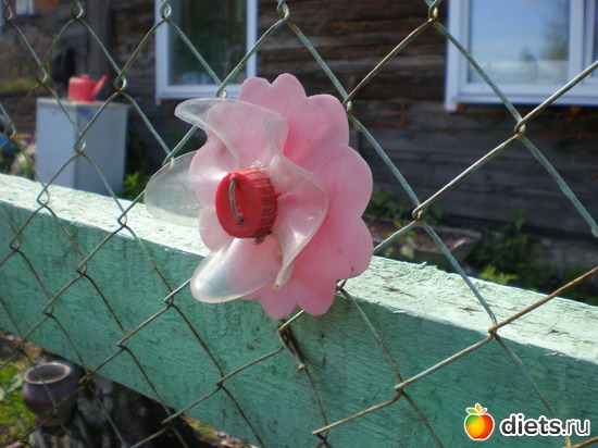 6 ����: �����