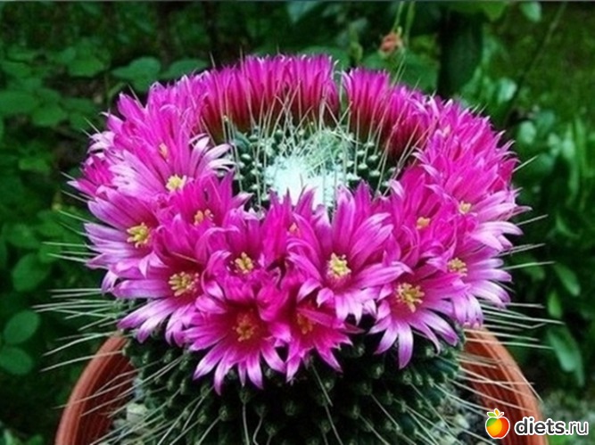 6 ����: �������