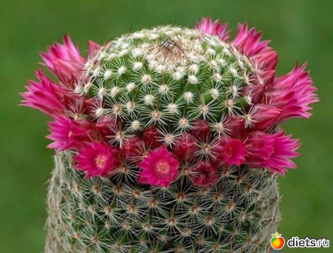 11 ����: �������