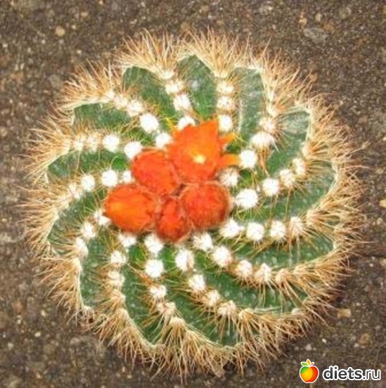 15 ����: �������