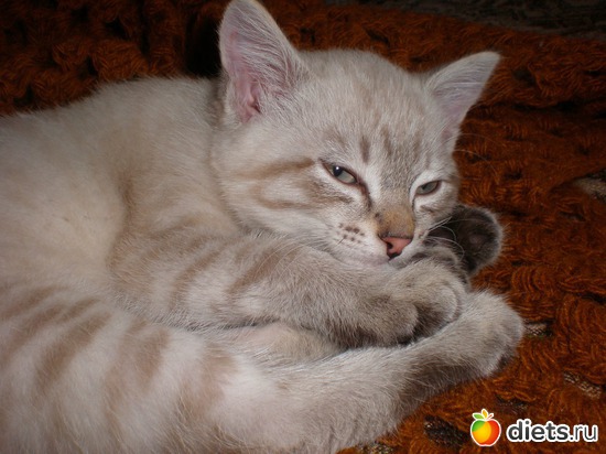 7 ����: �����