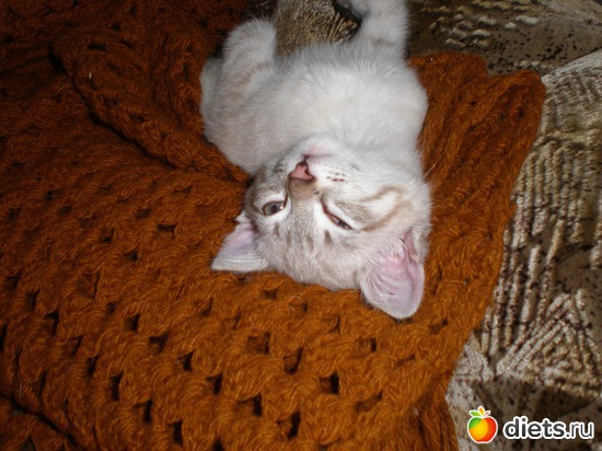 8 ����: �����