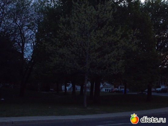 Вечер, альбом: Монреаль, я люблю Тебя !!!!