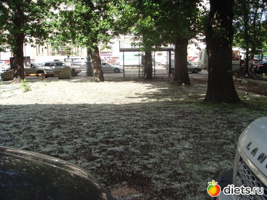 тополиный снег, альбом: Разное