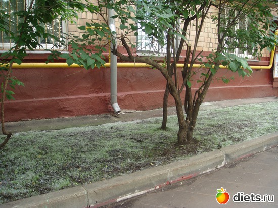 белым-бело, альбом: Разное