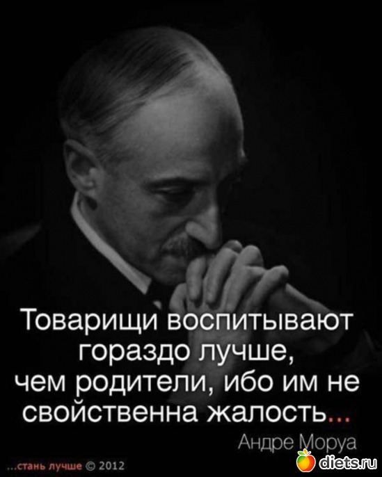 17 ����: ����������