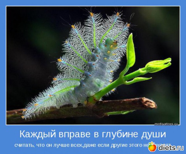 20 ����: ����������