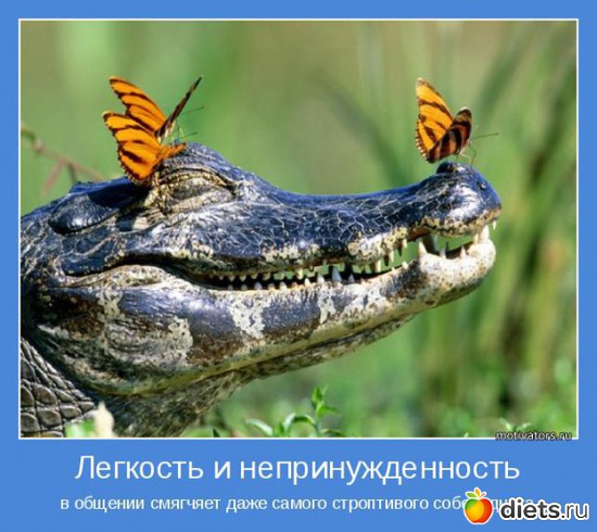 23 ����: ����������