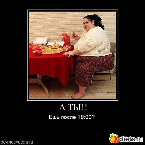 24 ����: ����������