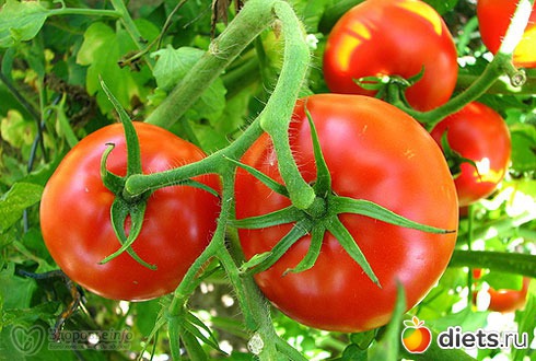 ��� �������� ������� ����������