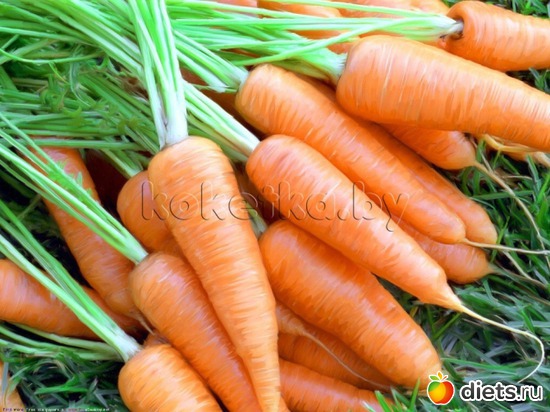 13 ����: ��� �������� ������� ����������