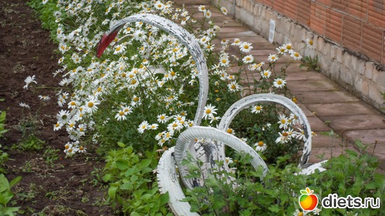 ������� �������, ������: ��� �����.