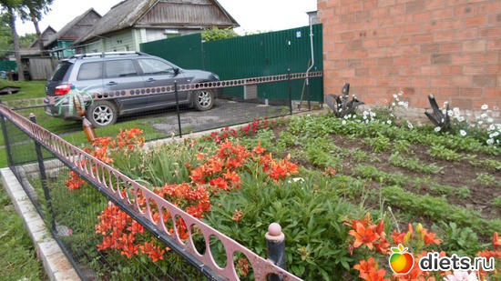 9 ����: ��� �����.