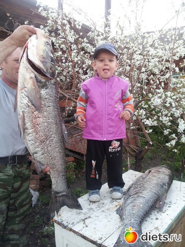 ������� ���� ������������!!!!, ������: ��� ����!!!! ��� ����!!!!