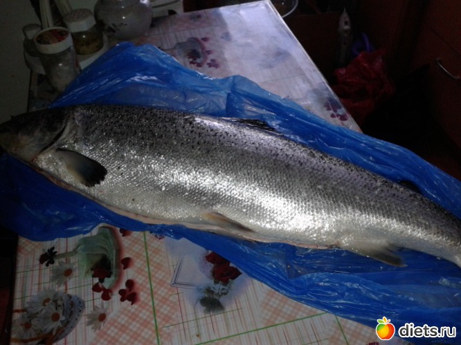 моя любимая золотая рыбка, альбом: Мои завтраки