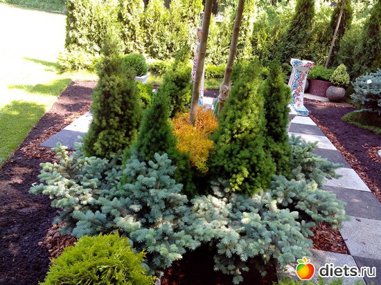 1 ����: ������������� ���� ������ 2013