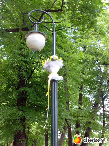 7 ����: ������������� ���� ������ 2013