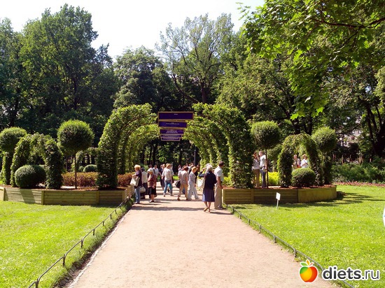 11 ����: ������������� ���� ������ 2013